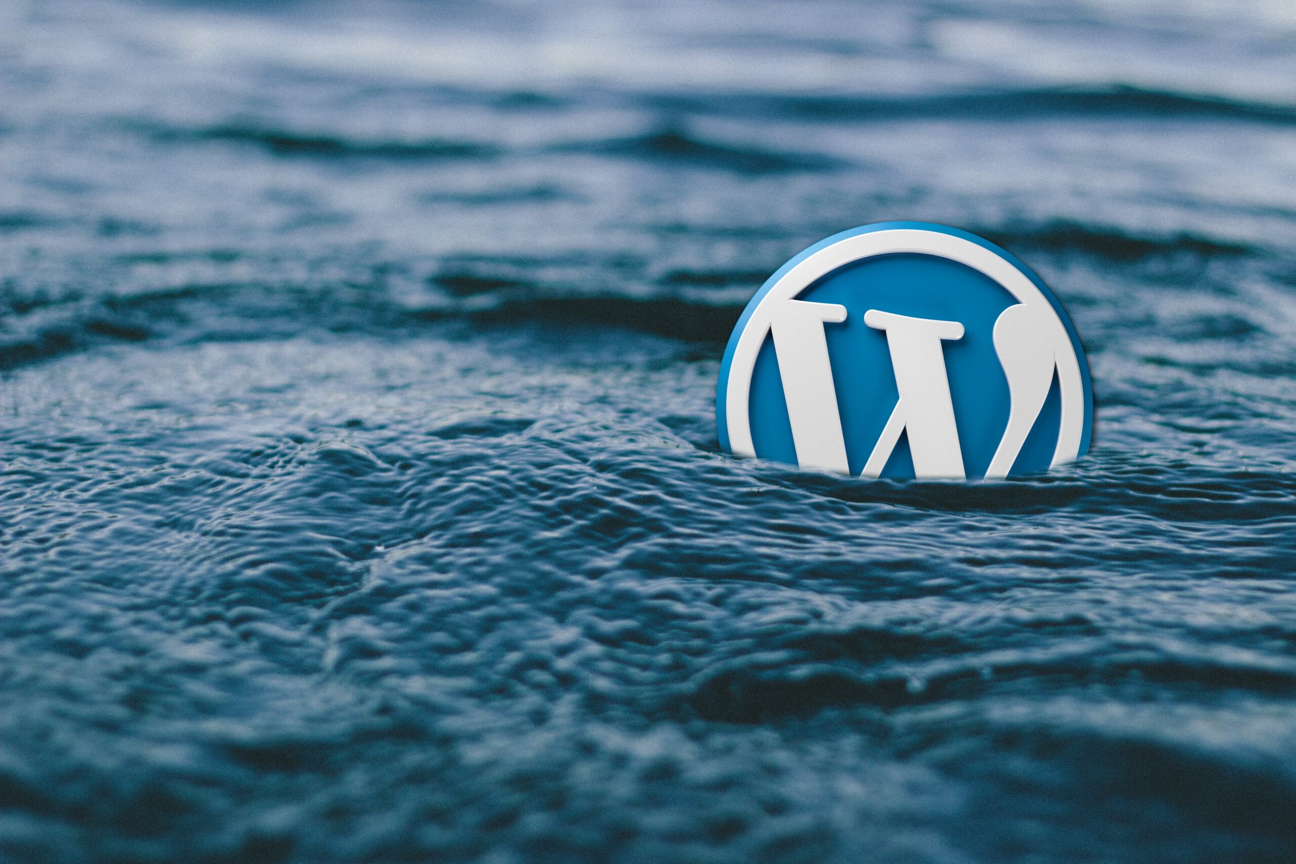 WordPress 6.0: Worauf wir uns freuen können0 (0)